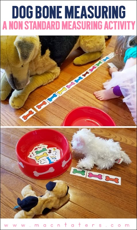 a dog is sitting on the floor next to a red bowl with a sticker in it