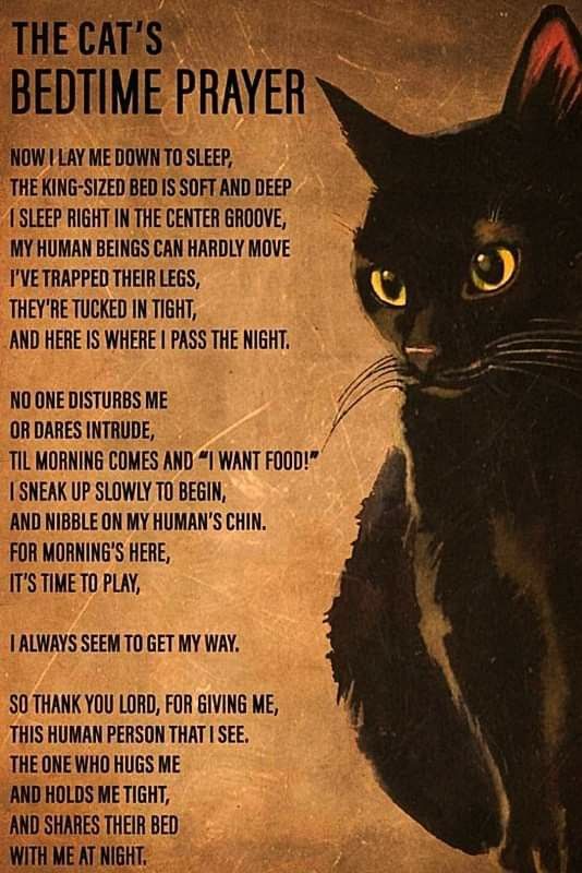 a black cat sitting on top of a table next to a poem written in english