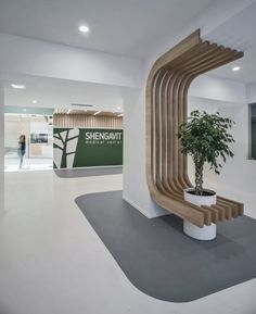 a plant in a pot sitting on top of a wooden bench next to a wall