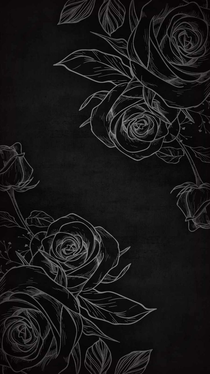 black and white roses on a dark background