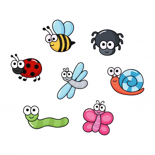 cartoon bugs and caterpillars on a white background