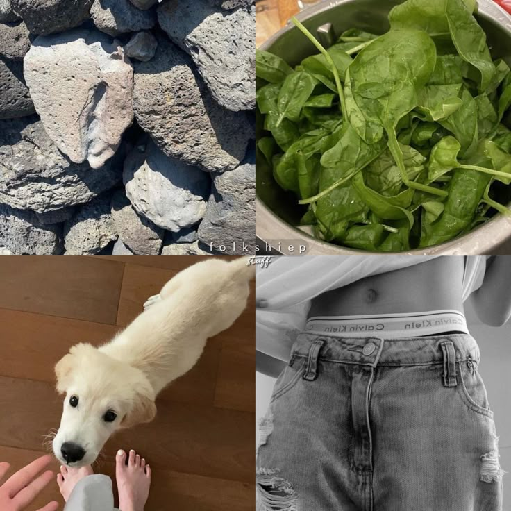 there is a collage of pictures with animals and food in them, including spinach