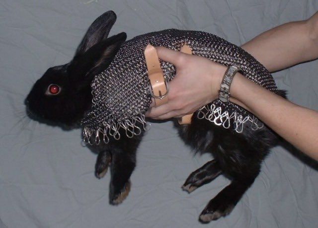 a person is holding a black rabbit with chains on it's head and collar