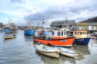 several boats are docked in the water near houses