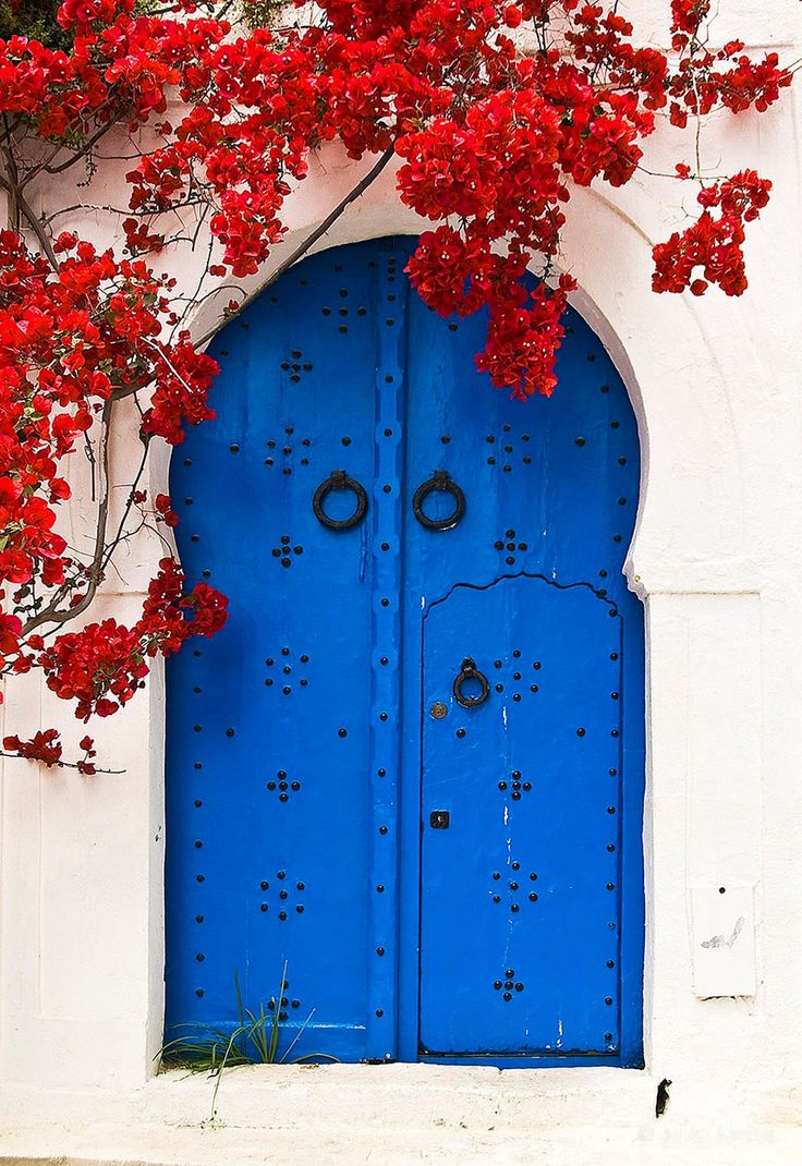 a blue door with red flowers growing over it's sides and the top part of its frame