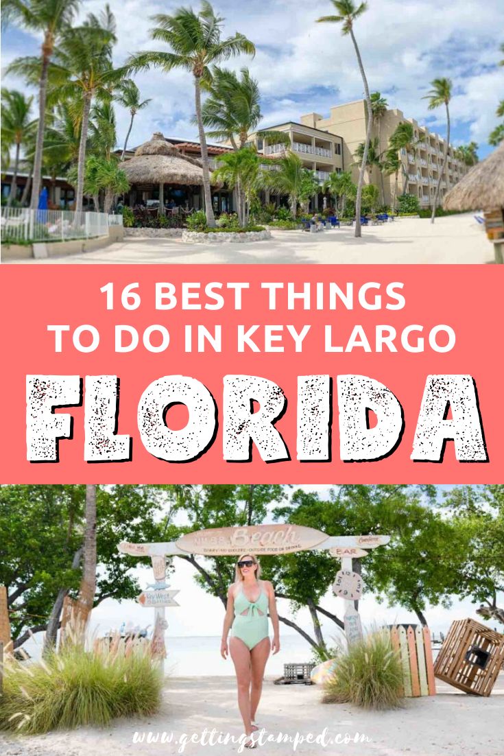 the best things to do in key largo florida