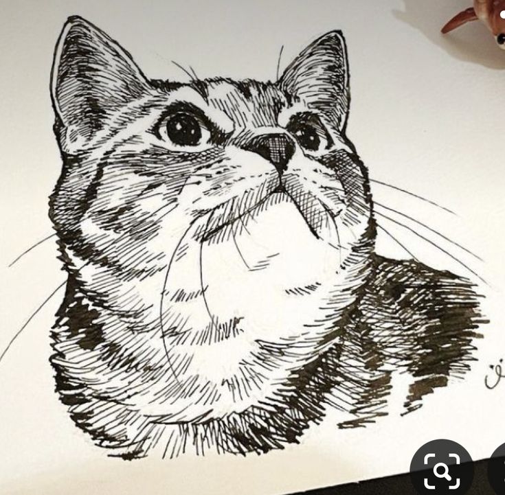 a drawing of a cat with its mouth open