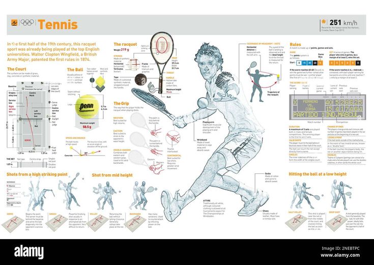 an illustrated diagram of tennis players and their attributes