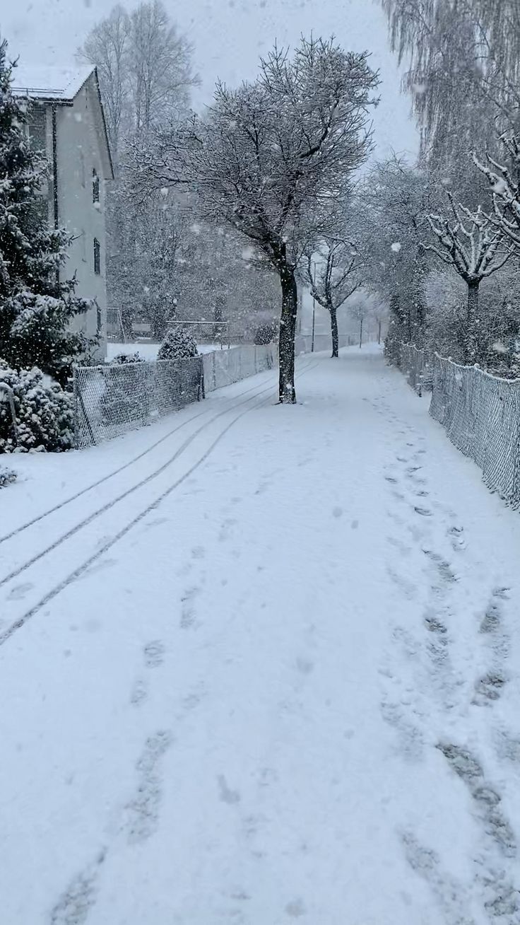 a snow covered street with trees and houses in the background