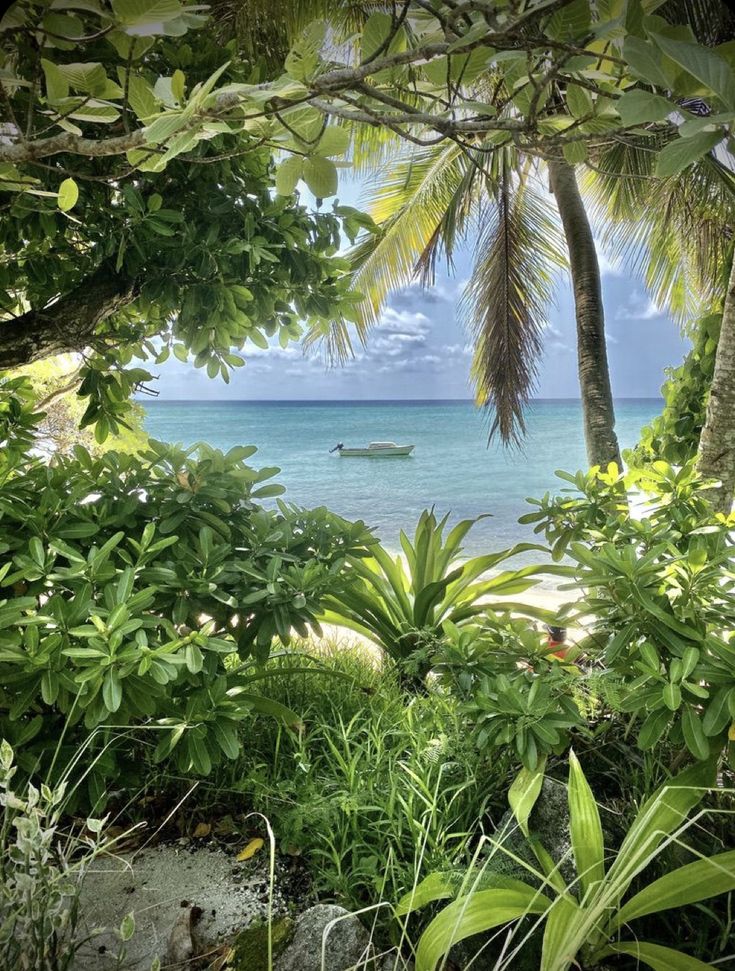 an ocean view through the trees with a boat in the water on the other side