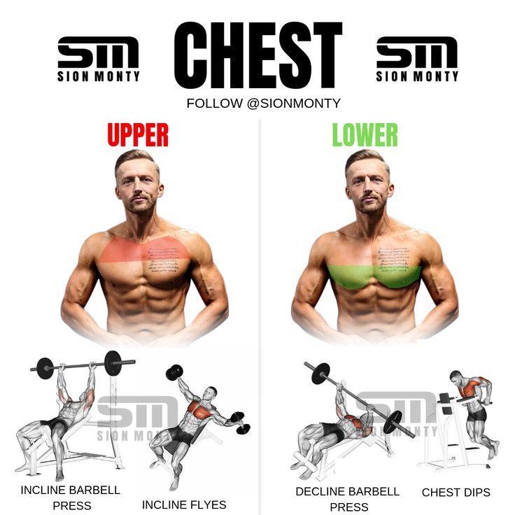 UPPER & LOWER CHEST EXERCISES WORKOUT By Sion Monty Lower chest