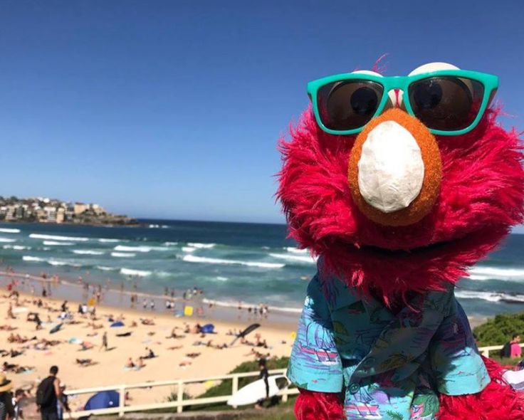 a person wearing sunglasses and a red bird mascot at the beach