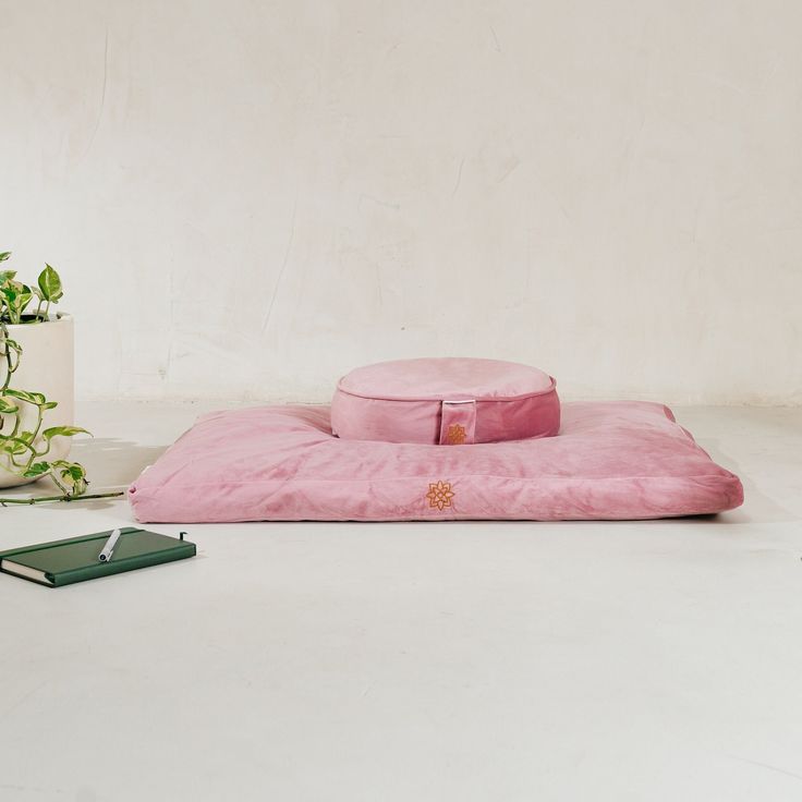 a pink pillow and some plants on the floor