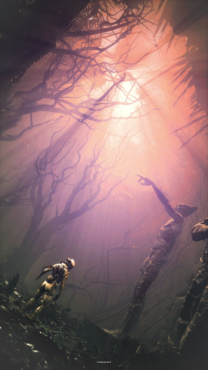 an image of birds in the woods at sunset