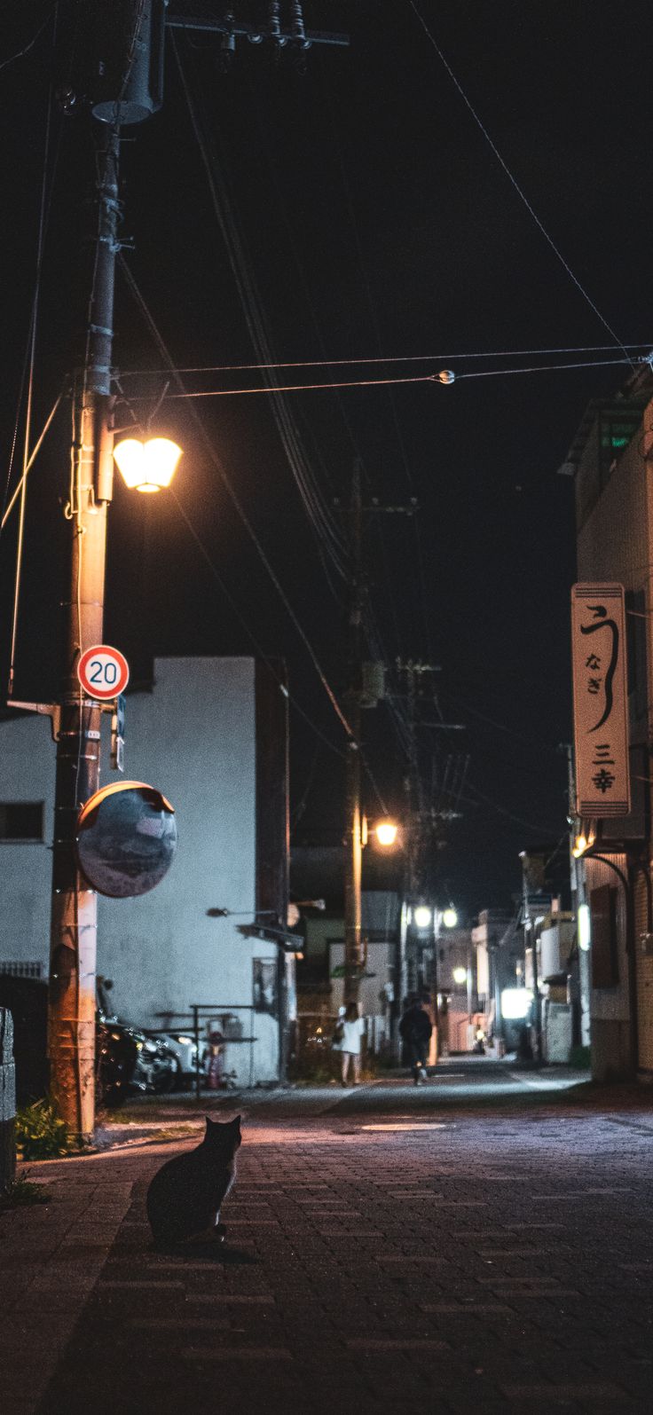 a black cat sitting on the ground under a street light in an alley at night