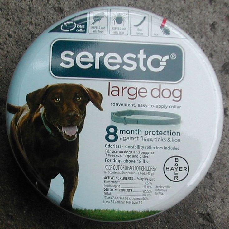 there is a button with a dog on it that says, serestc large dog