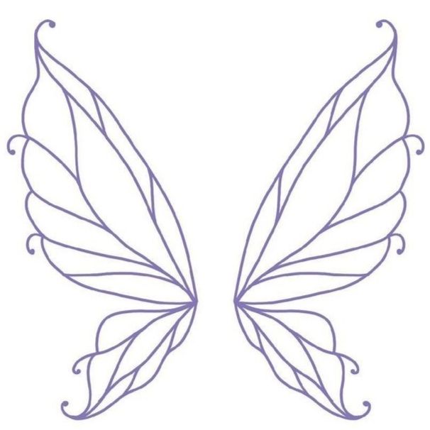 the outline of a butterfly's wings