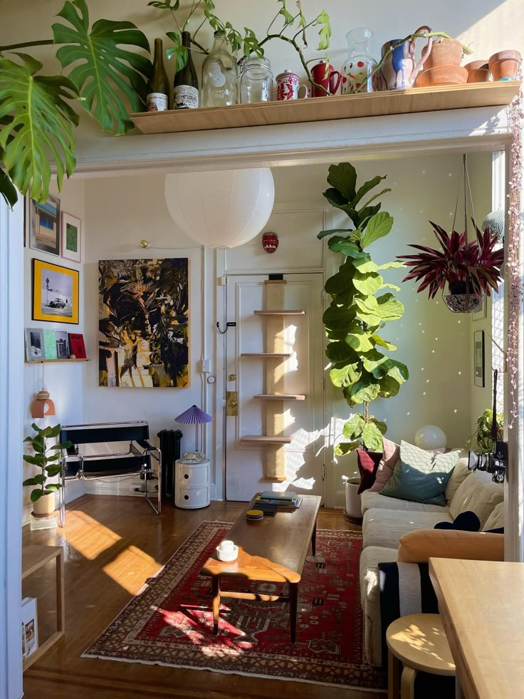 a living room filled with furniture and lots of plants on top of the shelves above