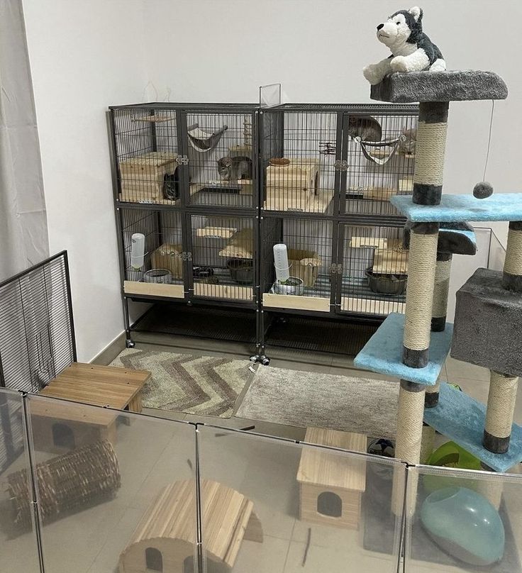 a cat is sitting on top of a scratching post in the middle of a room