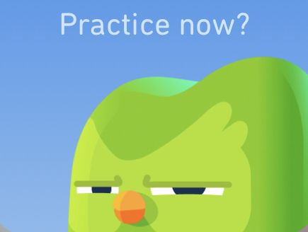 an angry green bird with the words practice now