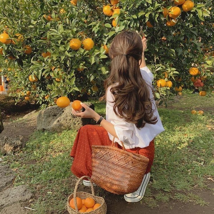 Era Victoria, Tomato Girl, Cottage Core Aesthetic, Orange Tree, Retro Mode, Korean Aesthetic, Cottagecore Aesthetic, Spring Aesthetic, + Core + Aesthetic