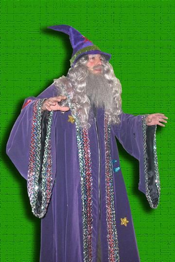 a man dressed in purple and wearing a wizard hat