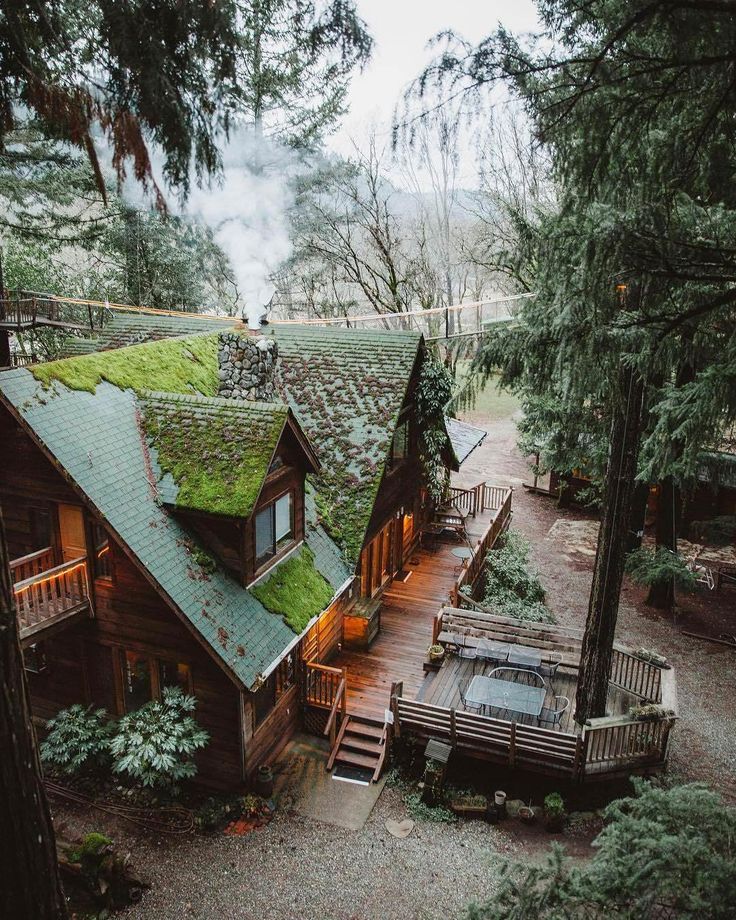 the instagram page shows an image of a house with green roof