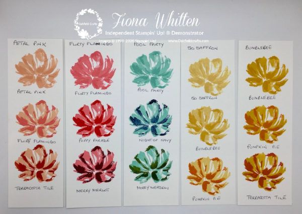 four different colors of flowers are shown in the same color scheme, each with their own name