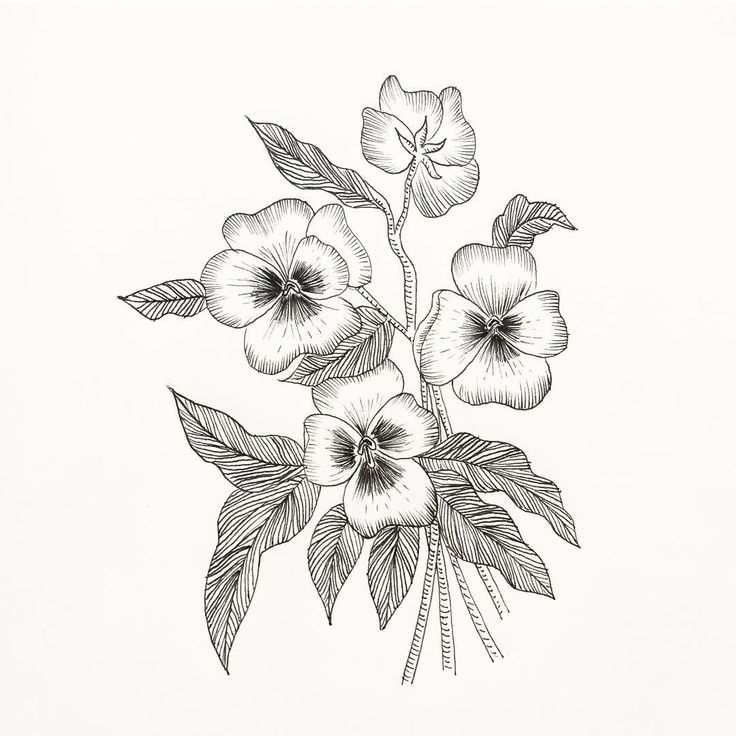 black and white drawing of flowers with leaves