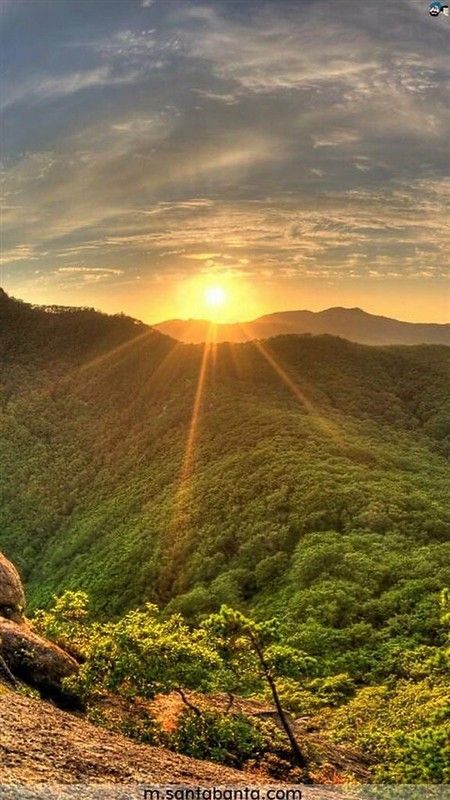 the sun is setting on top of a mountain with trees and bushes in the foreground