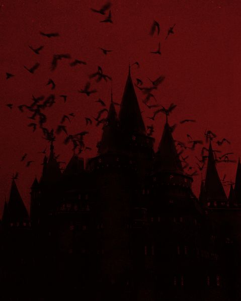 a flock of birds flying over a castle at night