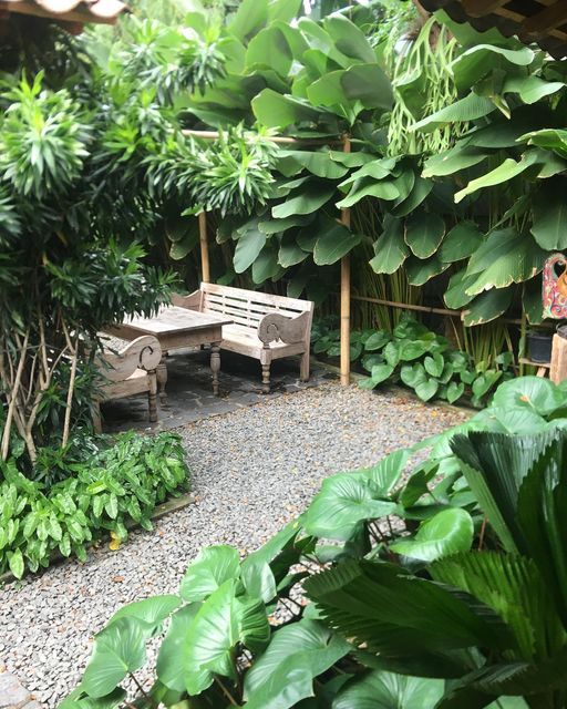 a garden with lots of green plants and benches in the center, surrounded by greenery