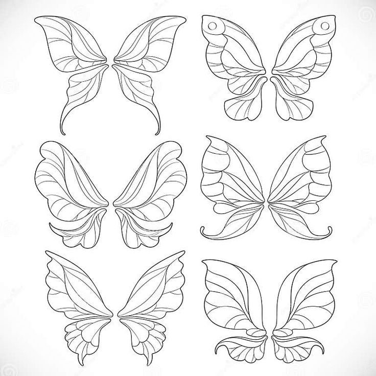 four different types of butterfly wings in black and white stock photo - image 34978