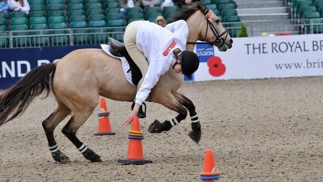 a man riding on the back of a brown horse next to orange cones in an arena