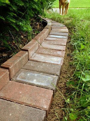 a dog is standing in the grass next to a brick path that has been built into it