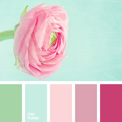 a pink rose is in the middle of color swatches with pale blue and green