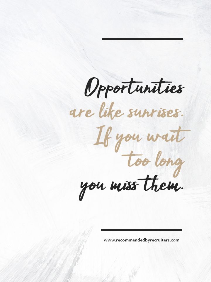 a quote that says, opportunity is the sunflowers if you wait to be long, you miss them