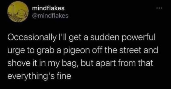 the text reads, occasionally i'll get a sudden powerful urge to grab a pigeon off the street and shovel it in my bag, but apart from that everything's fine