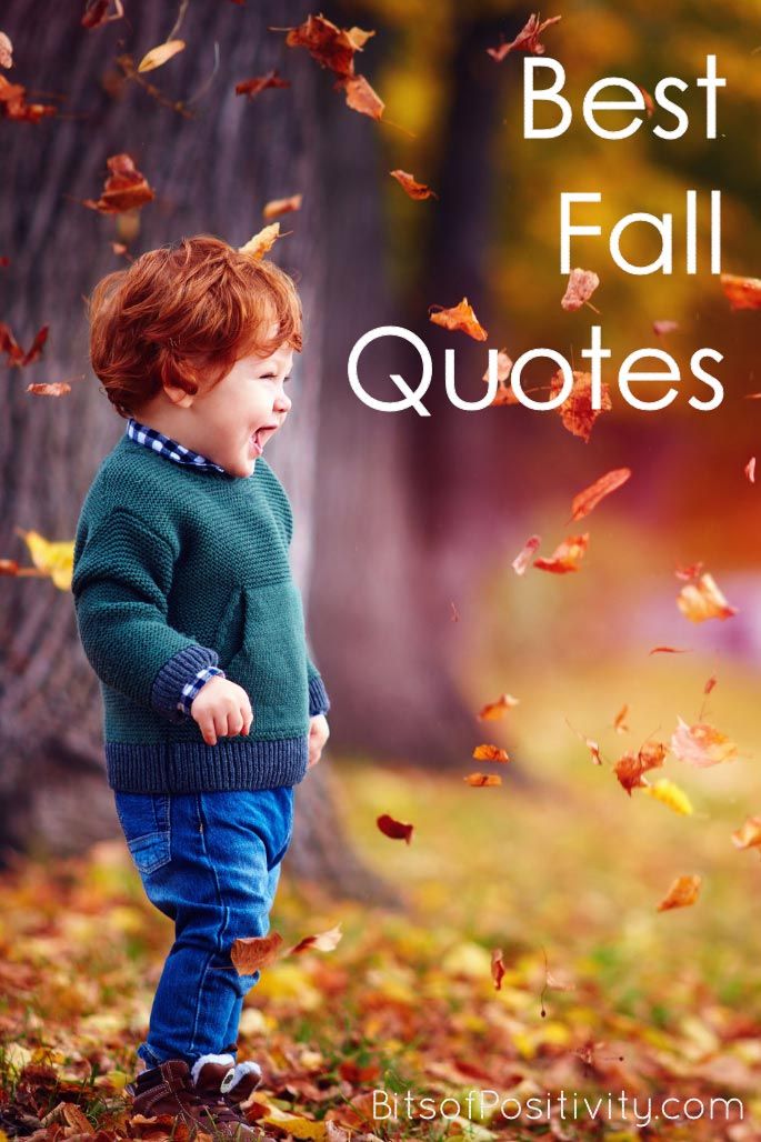 a little boy standing in leaves with the words best fall quotes