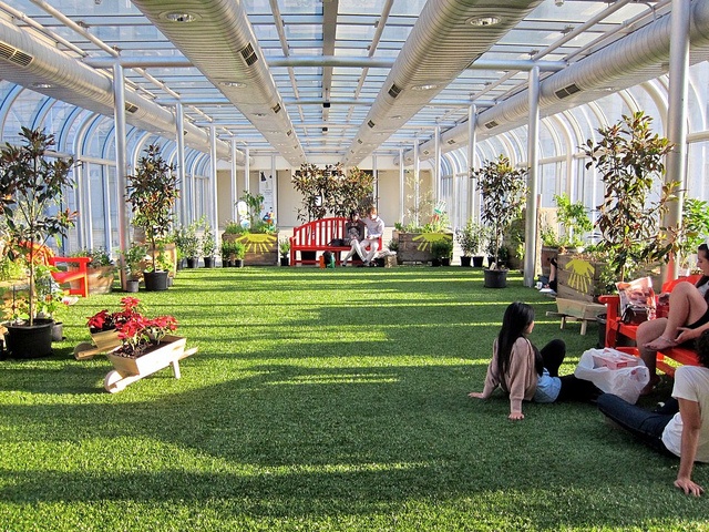 people sitting on the grass in a greenhouse