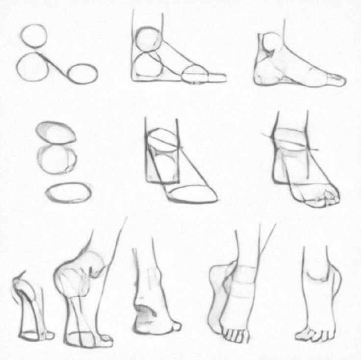 a drawing of different feet and ankles