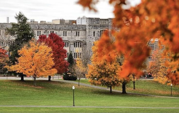 trees with orange and yellow leaves in front of a large building