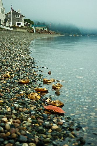 a beach that has some rocks on the shore and houses in the background with fog