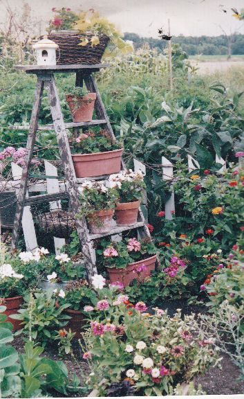 a garden filled with lots of flowers and plants next to a wooden ladder covered in potted plants