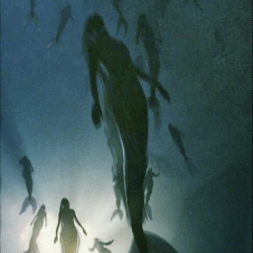 a group of people standing in the water with fish swimming around them and one person looking up