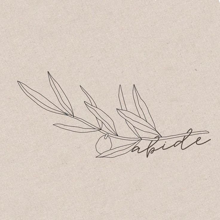 a drawing of an olive branch with the word appetie written in cursive ink