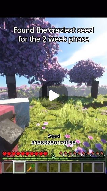 an animated video game with trees and grass in the foreground, text reads found the craziest seed for the 2 week phase