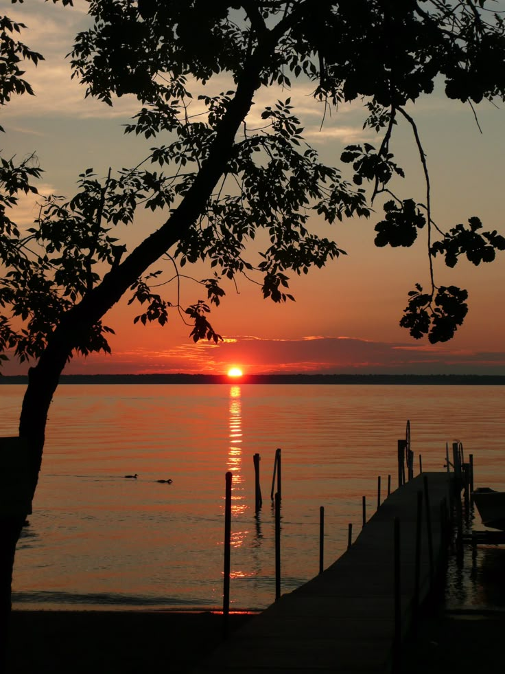 the sun is setting over the water and trees