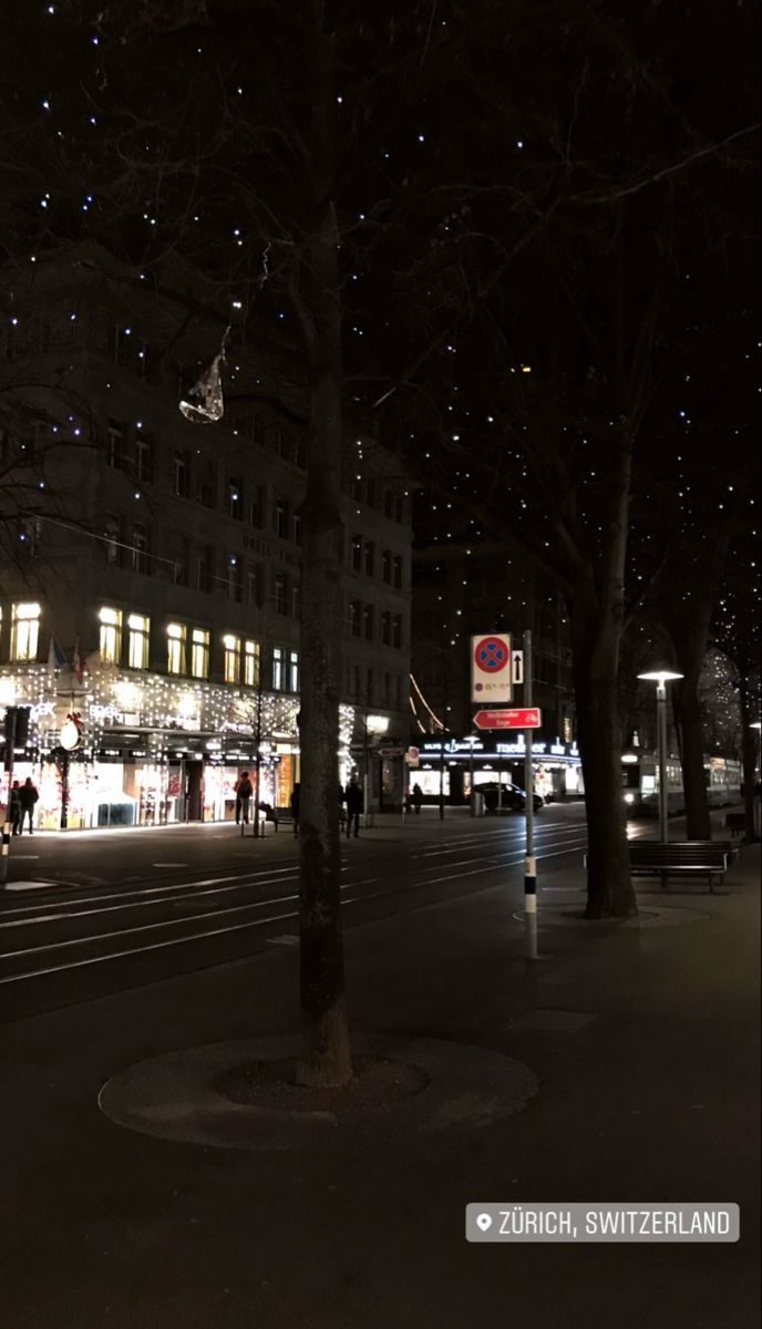 people are walking down the street at night with lights in the sky and trees on both sides