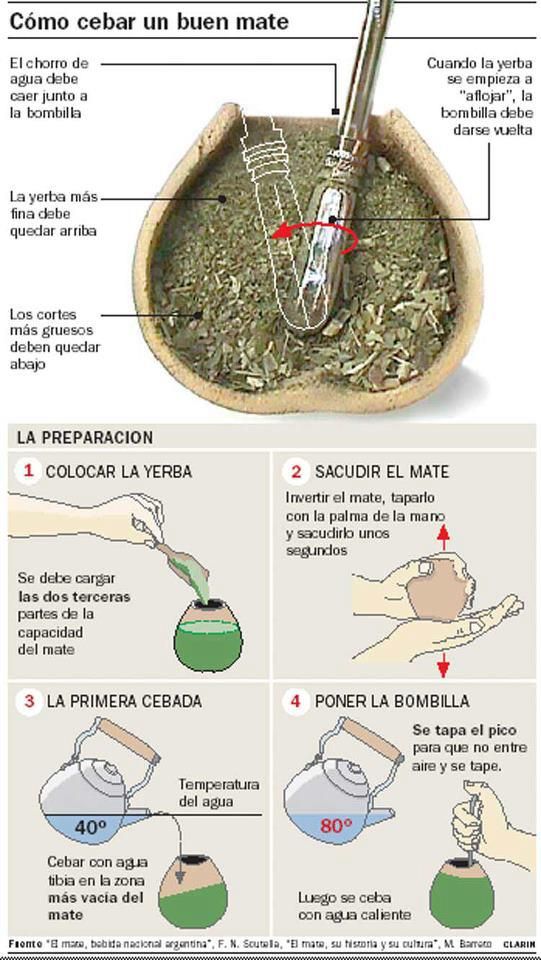 the instructions for making green tea